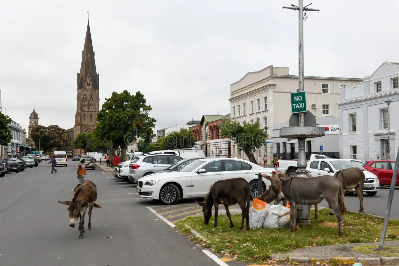 Grahamstown collapsing in real time